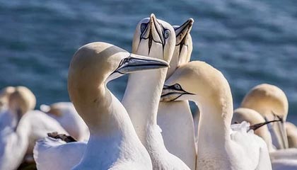 开云体育网页登录-梅米：中超首赛季给自己9分 希望深入了解中国文化