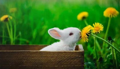 开云体育网页登录-梅米：中超首赛季给自己9分 希望深入了解中国文化